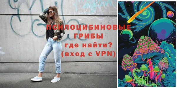 PSILOCYBIN Туринск