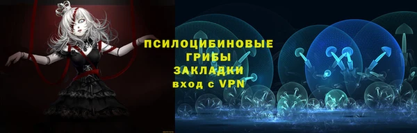 mdpv Заводоуковск