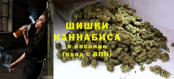 PSILOCYBIN Тутаев