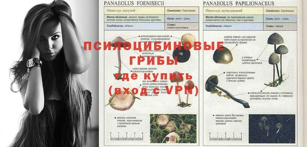 прущая мука Тында