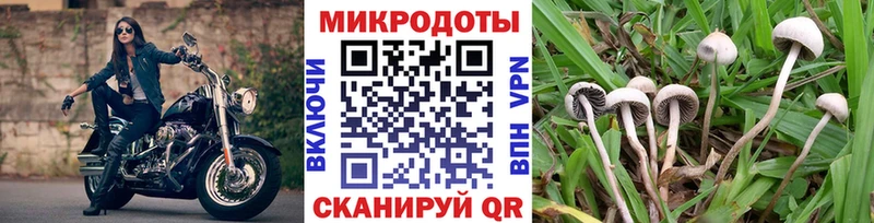 купить   ссылка на мегу как зайти  Галлюциногенные грибы мицелий  Алушта 