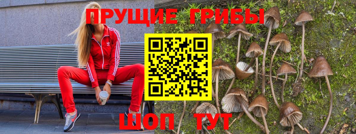 Псилоцибиновые грибы мицелий Алушта